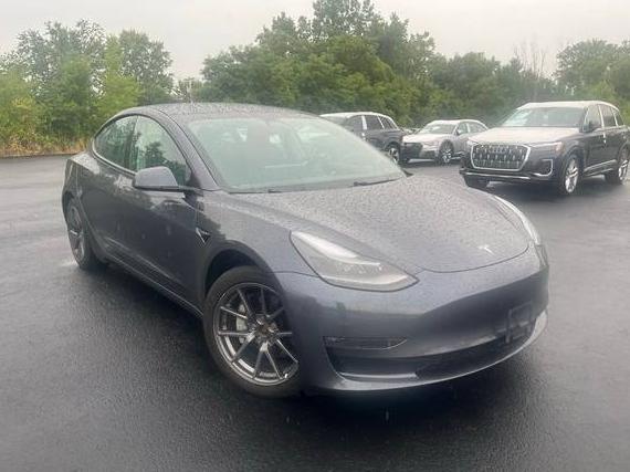 TESLA MODEL 3 2021 5YJ3E1EB2MF988047 image